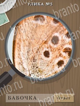 Улика - ответы к игре в Одноклассниках