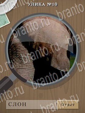 Улика - ответы к игре в Одноклассниках