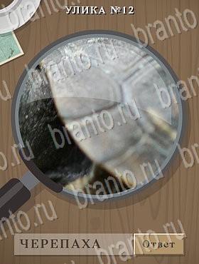 Улика - ответы к игре в Одноклассниках
