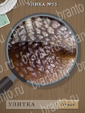 Улика - ответы к игре в Одноклассниках