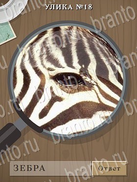 Улика - ответы к игре в Одноклассниках