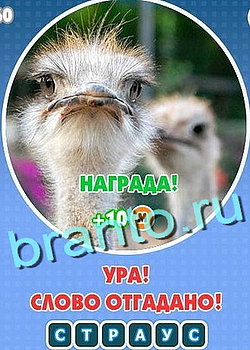 Игра Увидел? Угадай! в Одноклассниках - ответы
