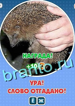 Игра Увидел? Угадай! в Одноклассниках - ответы