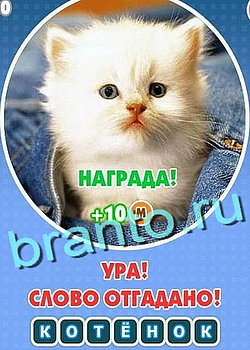 Игра Увидел? Угадай! в Одноклассниках - ответы