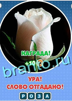 Игра Увидел? Угадай! в Одноклассниках - ответы