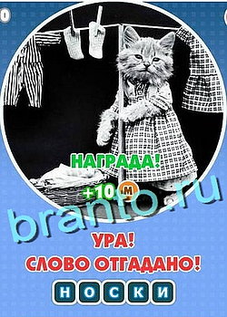 Игра Увидел? Угадай! в Одноклассниках - ответы