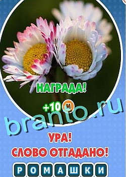 Игра Увидел? Угадай! в Одноклассниках - ответы