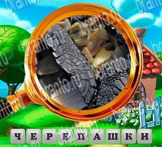 Игра "В поисках приключений" ВК - ответы на все уровни