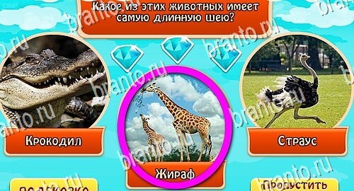 Всезнайка - ответы на игру