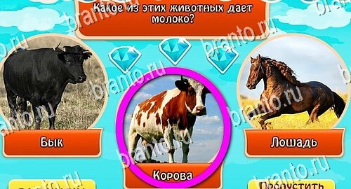 Всезнайка - ответы на игру