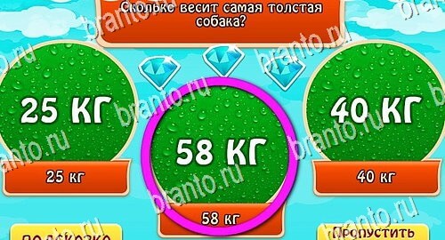 Всезнайка - ответы на игру