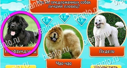 Всезнайка - ответы на игру