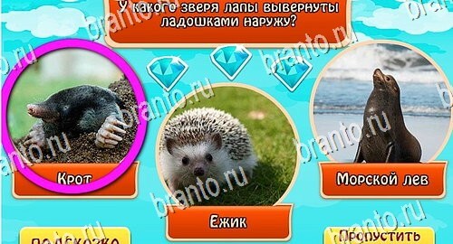 Всезнайка - ответы на игру