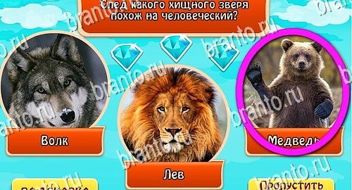 Всезнайка - ответы на игру