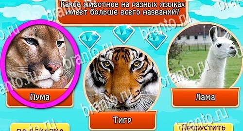 Всезнайка - ответы на игру