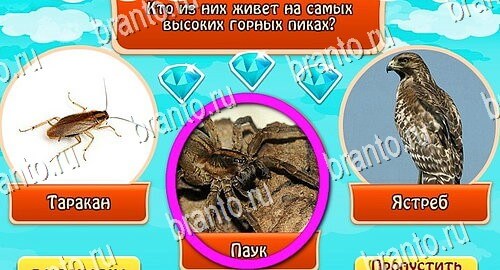 Всезнайка - ответы на игру