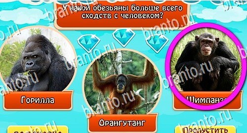 Всезнайка - ответы на игру
