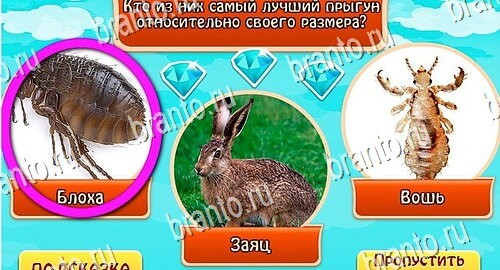 Всезнайка - ответы на игру