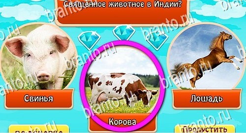 Всезнайка - ответы на игру