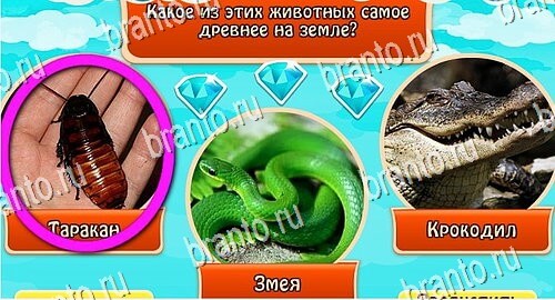 Всезнайка - ответы на игру