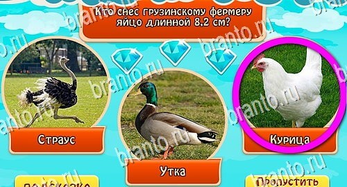 Всезнайка - ответы на игру
