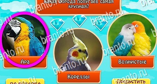 Всезнайка - ответы на игру