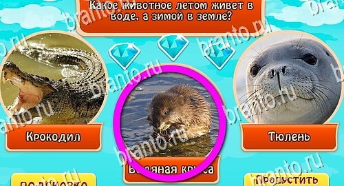 Всезнайка - ответы на игру
