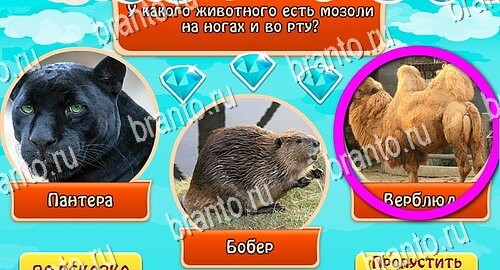 Всезнайка - ответы на игру