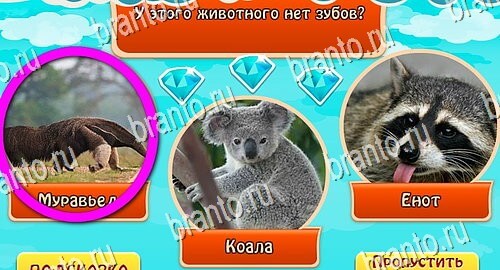 Всезнайка - ответы на игру