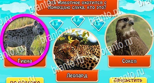 Всезнайка - ответы на игру