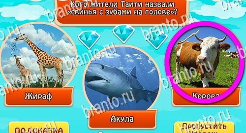 Всезнайка - ответы на игру