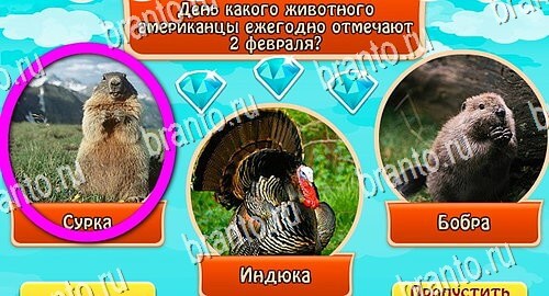 Всезнайка - ответы на игру