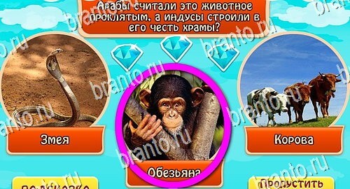 Всезнайка - ответы на игру