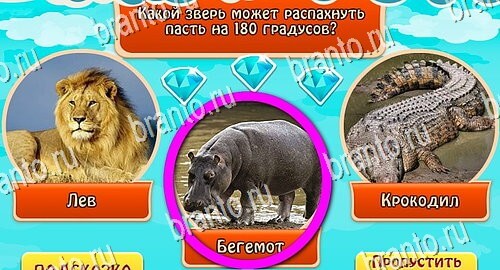 Всезнайка - ответы на игру