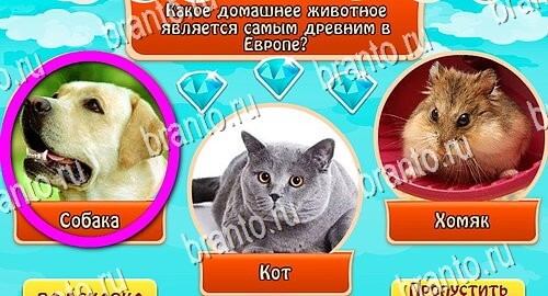 Всезнайка - ответы на игру