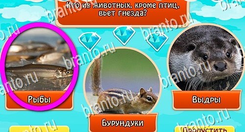 Всезнайка - ответы на игру