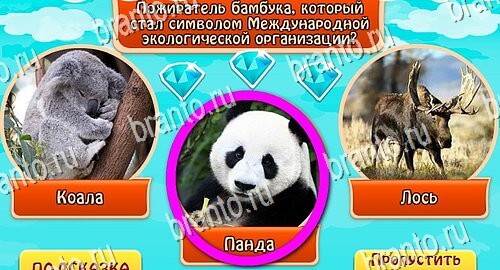 Всезнайка - ответы на игру