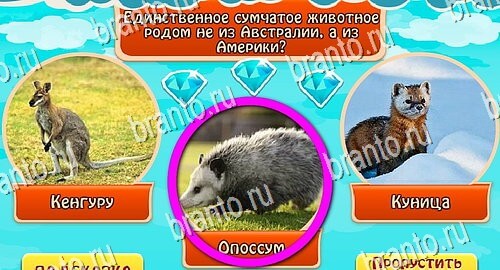Всезнайка - ответы на игру