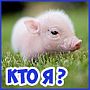 Всезнайка - ответы на игру