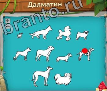 Игра "Загадочный остров" - подсказки