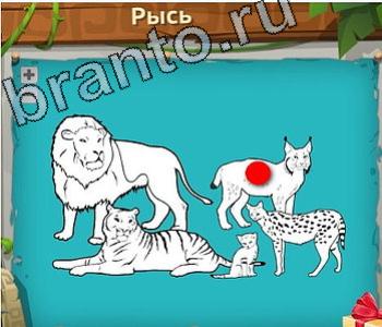 Игра "Загадочный остров" - подсказки