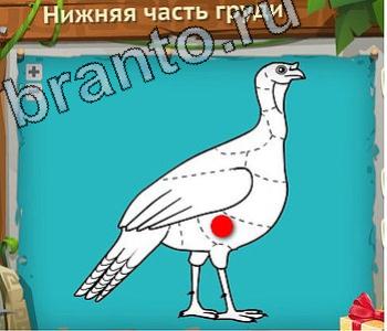Игра "Загадочный остров" - подсказки