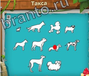 Игра "Загадочный остров" - подсказки