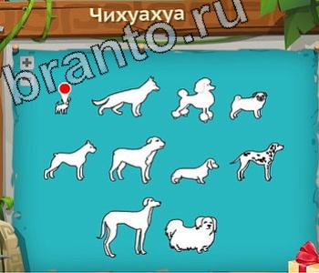 Игра "Загадочный остров" - подсказки