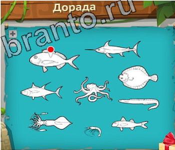 Игра "Загадочный остров" - подсказки