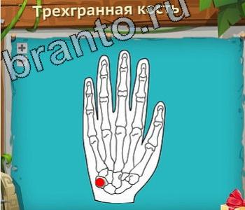 Игра "Загадочный остров" - подсказки
