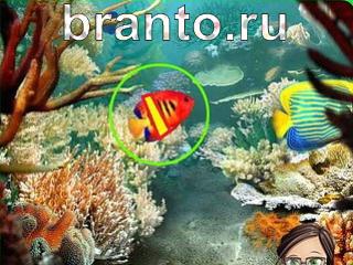 Зоркий глаз: найди отличия - ответы