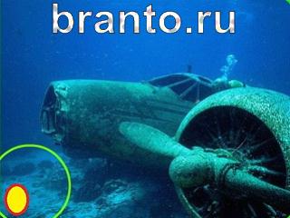 Зоркий глаз: найди отличия - ответы