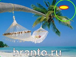 Зоркий глаз: найди отличия - ответы