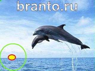 Зоркий глаз: найди отличия - ответы